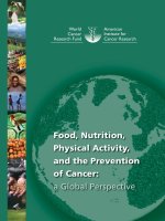 Food, Nutrition, Physical Activity, and the Prevention of Cancer: a Global Perspective doc