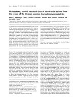 Báo cáo khoa học: Phaiodotoxin, a novel structural class of insect-toxin isolated from the venom of the Mexican scorpion Anuroctonus phaiodactylus pdf