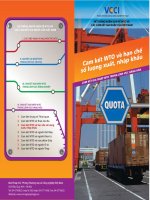 Cam kết WTO về hạn chế số lượng xuất nhập khẩu docx