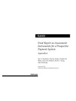 Final Report on Assessment Instruments for a Prospective Payment System potx