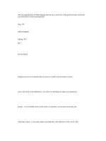 michelangelo accomplishments 699