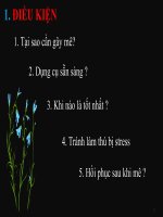 GÂY MÊ THÚ HOANG pot