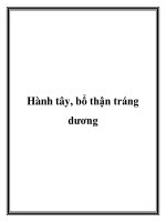 Hành tây, bổ thận tráng dương doc