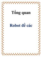 Tồng quan robot đề các potx