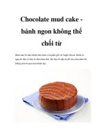 Chocolate mud cake bánh ngon không thể chối từ potx