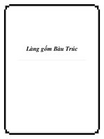 Làng gốm Bàu Trúc pdf