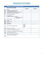 Industry Standard Financial Statement - This Statement is for use in the MARP pdf