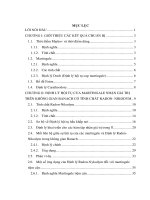 SỰ HỘI TỤ CỦA MARTINGALE NHẬN GIÁ TRỊ  TRÊN KHÔNG GIAN BANACH CÓ TÍNH CHẤT  RADON-NIKODYM       LUẬN VĂN THẠC SĨ KHOA HỌC TOÁN HỌC