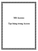 MS Access: Tạo bảng trong Access potx