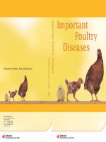 IMPORTANT POULTRY DISEASES pdf