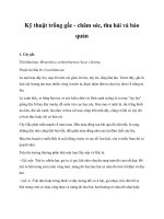 Kỹ thuật trồng gấc - chăm sóc, thu hái và bảo quản pot