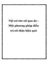 Nội soi tán sỏi qua da Một phương pháp điều trị sỏi thận hiệu quả pdf