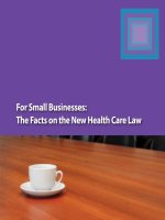 For Small Businesses: The Facts on the New Health Care Law doc