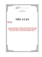 tiểu luận đề tài giải pháp phó hiệu trưởng chuyên môn theo dõi kiểm tra để nâng cao hiệu quả việc sử dụng đồ dùng dạy học của giáo viên trường thcs