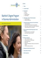 Bachelor’s Degree Program in Business Administration pdf