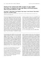 Báo cáo khoa học: Cloning of two melanocortin (MC) receptors in spiny dogfish MC3 receptor in cartilaginous fish shows high affinity to ACTH-derived peptides while it has lower preference toc-MSH ppt