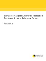 Symantec™ Sygate Enterprise Protection Database Schema Reference Guide docx