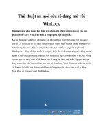 Thủ thuật ẩn mọi cửa sổ đang mở với WinLock doc