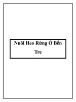 Nuôi Heo Rừng Ở Bến Tre pot