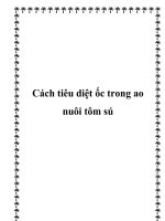 Cách tiêu diệt ốc trong ao nuôi tôm sú pptx