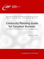INFLUENZA PANDEMIC: Continuity Planning Guide for Canadian Business pot