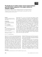 Báo cáo khoa học: The N-glycans of yellow jacket venom hyaluronidases and the protein sequence of its major isoform in Vespula vulgaris pdf