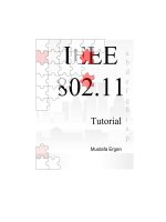 IEEE 802.11 Tutorial pptx