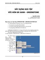 XÂY DỰNG SƯU TẬP VỚI HÒN ĐÁ XANH - GREENSTONE pptx
