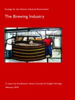 Strategy for the Historic Industrial Environment The Brewing Industry ppt