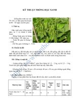 KỸ THUẬT TRỒNG ĐẬU XANH pptx