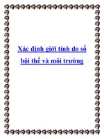 Xác định giới tính do số bội thể và môi trường ppt