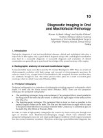 Diagnostic Imaging in Oral and Maxillofacial Pathology docx