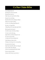 Ca Dao Châm Biếm potx