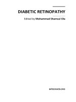 Diabetic Retinopathy Edited by Mohammad Shamsul Ola docx