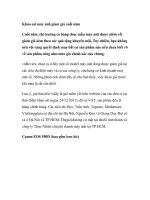 Khảo sát máy ảnh giảm giá cuối năm pdf