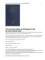 The American Indian as Participant in the Civil War ppt