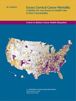 Excess Cervical Cancer Mortality: A Marker for Low Access to Health Care in Poor Communities doc