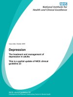 Depression - The treatment and management of depression in adults potx