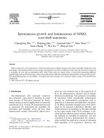 Spontaneous growth and luminescence of si siox core shell nanowires