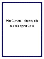 CơTu - nhạc cụ độc đáo của người CơTu pptx