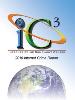 IC3 INTERNET CRIME COMPLAINT CENTER: 2010 INTERNET CRIME REPORT potx