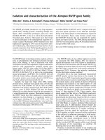 Báo cáo khóa học: Isolation and characterization of the Xenopus HIVEP gene family ppt