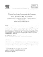 Ethnic diversity and economic development potx