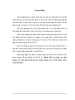 Đề tài: Hoàn thiện và nâng cao chất lượng các hoạt động kinh doanh chứng khoán của CTCK Ngân hàng Công thương pdf