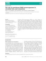 Báo cáo khoa học: The role of cytochrome P450 monooxygenases in microbial fatty acid metabolism pdf