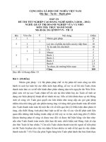 đáp án đề thi thực hành-quản trị doanh nghiêp vừa và nhỏ-mã đề thi qtdnvvn-th(11)