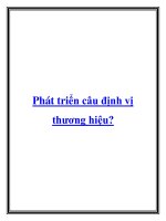 Phát triển câu định vị thương hiệu? docx