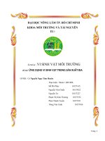 Đề tài: ỨNG DỤNG VI SINH VẬT TRONG SẢN XUẤT BIA ppt