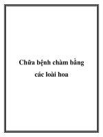 Chữa bệnh chàm bằng các loài hoa ppt