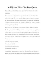 6 Hội thu Bích Câu Đạo Quán pdf